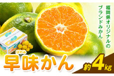 みかん 早味かん 約4kg  南国フルーツ株式会社《9月中旬-9月下旬頃出荷》福岡県 鞍手町 福岡県産 みかん 早味かん フルーツ 果物