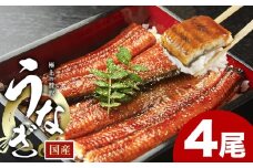 うなぎ 鰻 福岡県産 鰻の蒲焼き 数量限定 4尾 560g 以上 HOMIE《45日以内に出荷予定(土日祝除く)》福岡県 鞍手郡 鞍手町 鰻 蒲焼き 数量限定 国産 蒲焼 うなぎ蒲焼 (1尾あたり140g-180g以上)