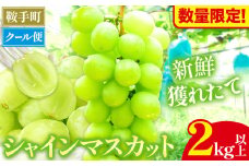 【数量限定】【先行予約】シャインマスカット 2kg以上 3房以上 先行予約 数量限定 《8月中旬-9月中旬頃出荷》 シャインマスカット マスカット 果物 フルーツ