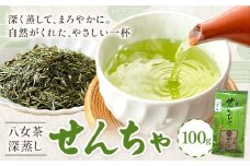 八女茶 深蒸し 茶煎茶 100g 株式会社ＪＳＥ《30日以内に出荷予定(土日祝除く)》福岡県 鞍手郡 鞍手町 お茶 煎茶 深蒸し茶 お茶 茶葉 お茶の葉 お茶葉 煎茶 国産 日本茶 飲物 飲み物 飲みもの のみもの