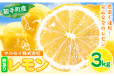 レモン 訳あり 3kg マルセイ株式会社《11月上旬-1月末頃出荷》レモン フルーツ スイーツ くだもの 果物 レモン果汁 ふるさと納税 福岡県 鞍手町