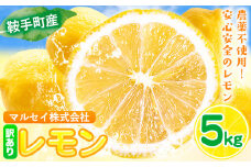 レモン 訳あり 5kg マルセイ株式会社《11月上旬-1月末頃出荷》レモン フルーツ スイーツ くだもの 果物 レモン果汁 ふるさと納税 福岡県 鞍手町
