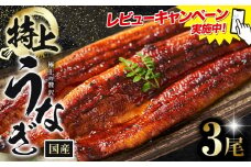 レビューキャンペーン実施中！ うなぎ 鰻 特上 3尾 (1尾当たり180g以上) 福岡県産 鰻の蒲焼き 数量限定 株式会社HOMIE《45日以内に出荷予定(土日祝除く)》福岡県 鞍手郡 鞍手町 鰻 蒲焼き 数量限定 国産 蒲焼 うなぎ蒲焼
