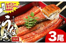 レビューキャンペーン実施中！ うなぎ 鰻 ご家庭用  3尾 (サイズ不選別：1尾当たり140g-180g) 福岡県産 鰻の蒲焼き 数量限定 株式会社HOMIE《12月上旬-12月末頃出荷》福岡県 鞍手郡 鞍手町 鰻 蒲焼き 数量限定 国産 蒲焼 うなぎ蒲焼