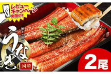 レビューキャンペーン実施中！ うなぎ 鰻 ご家庭用  2尾 (サイズ不選別：1尾当たり140g-180g) 福岡県産 鰻の蒲焼き 数量限定 株式会社HOMIE《1月上旬-1月末頃出荷》福岡県 鞍手郡 鞍手町 鰻 蒲焼き 数量限定 国産 蒲焼 うなぎ蒲焼