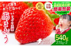 ★2026年出荷分★【先行予約】簡易包装版 環境配慮応援企画 いちご あまおう 540g 【着日指定不可】《2月中旬-4月末頃出荷》 いちご