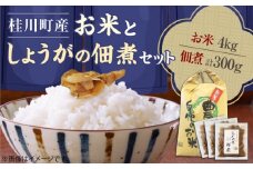 桂川町産 白米 4kg と しょうがの佃煮セット ▼ 漬物 米 コメお取り寄せ ご飯のお供 おいしい 冷蔵 つくだに 桂川町/けいせんとれたて村加工部[ADAI001]
