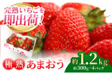 【2025年2月〜3月発送予定】完熟 あまおう ▼ イチゴ 苺 甘い あまい 冷蔵  ギフト 贈り物  果物 人気 福岡 桂川町/藤春苺園[ADAC001]