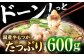 博多もつ鍋　やまや　もつ鍋セット あごだし醤油味（5～6人前）たっぷり600g