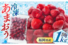 訳あり品 【濃厚な味わい！】冷凍 いちご 「 博多 あまおう 」 1kg （ 加工用 ） ▼ 訳アリ 訳あり イチゴ 苺 冷凍  福岡 おすすめ 博多あまおう 冷凍あまおう 福岡 桂川町/株式会社やまやコミュニケーションズ[ADAN005]