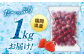訳あり品 冷凍いちご「博多 冷凍あまおう」1kg（加工用）  