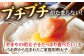 【ご家庭用】やまや　うちのめんたい切子込　300g 