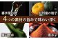やまや【九州限定】美味博多織　辛子明太子　350g