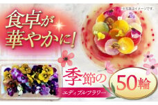 季節のエディブルフラワー50輪おまかせ ▼ ガーニッシュ 食用花 花 食べられる花 地域特産 装飾 料理 桂川町/NOGAMI　FARM[ADAU001]