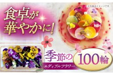 季節のエディブルフラワー100輪おまかせ ▼ ガーニッシュ 食用花 花 食べられる花 地域特産 装飾 料理 桂川町/NOGAMI　FARM[ADAU002]