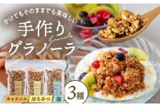 ケーキ屋さんの グラノーラ 3種食べ比べ（キャラメル・はちみつ・塩）200g×3袋 ▼小分け ジッパー付き 密封 常温 手作り おすすめ ヘルシー オートミール おつまみ おやつ アサイーボウル 桂川町/order made cake Toi Toi[ADAW001]