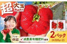 【収穫率1%！】超大玉 あまおう  約320g×2パック【アフター保証】 ▼ 先行受付 あまおう いちご 苺 イチゴ フルーツ 果物 くだもの 人気 旬 福岡県産 アフター補償 ギフト 贈答品 プレゼント 贈り物 数量限定 期間限定 産地直送 福岡県 桂川町/高嶋園芸[ADAT001]