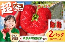 いちご 超大玉 あまおう  約320g×2パック【アフター保証】 ▼ 先行受付 希少 あまおう いちご 苺 イチゴ フルーツ 果物 くだもの 人気 旬 福岡県産 アフター補償 ギフト 贈答品 プレゼント 贈り物 数量限定 期間限定 産地直送 福岡県 桂川町/高嶋園芸[ADAT001]