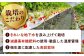 超大玉 あまおう 福岡 博多あまおう いちご 苺 イチゴ 先行受付 予約 あまおう