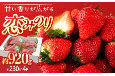 【先行予約】【12月中旬以降順次発送】大塚ファームのいちご 「恋みのり」230g×4パック ▼ イチゴ 苺 甘い あまい 果物 いちご 先行予約 福岡県産 こいみのり   桂川町/大塚ファーム[ADAB001]