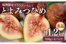 【先行受付】福岡ブランド  いちじく とよみつひめ 秀品 1.2kg （300g×4パック） ▼  イチジク 無花果 フルーツ 果物 旬 イチジク いちじく 秀品 桂川町/福岡嘉穂農業協同組合[ADAY001] 10000円 1万円