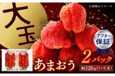 【アフター保証】福岡県産 あまおう  約320g×2パック【1月上旬より順次配送】　▼ ご褒美 大玉あまおう 厳選 イチゴ 苺  甘い あまい  ギフト 果物 桂川町/高嶋園芸[ADAT002]
