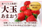 あまおう 7玉〜9玉 約320g×2パック  