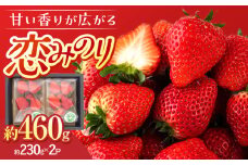 【贈答にも】大塚ファームのいちご「 恋みのり 」230g×2パック【12月中旬以降順次発送】 ▼ ギフト　贈答 いちご イチゴ 苺 甘い あまい 果物 人気 恋みのり 福岡県産 桂川町/大塚ファーム[ADAB002]