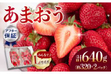 【アフター保証】あまおう Lサイズ 約320g×2パック【1月上旬より順次配送】 ▼博多あまおう  福岡  博多 いちご イチゴ 苺 あまおう 贈り物 果物 福岡県 福岡県産 桂川町/高嶋園芸[ADAT003]