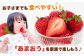 あまおう Lサイズ 約320g×2パック  