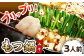 【ご家庭用】博多もつ鍋（味噌味）3人前 ▼ 国産牛 本場 3人前 鍋 おかず おいしい 鍋セット 家庭用 ご自宅用