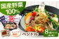 レンジで簡単！新感覚ヌードル「ベジドル」8食セット  