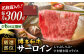 6回定期便 和牛 サーロイン 厳選部位 300g 