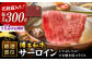 12回定期便 和牛 サーロイン 厳選部位 300g