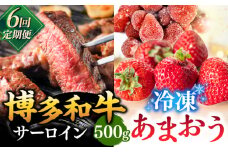 【全6回定期便】【訳あり】博多和牛 サーロインステーキ ＆ あまおう セット1.3kg ▼ 訳あり 訳アリ ワケアリ わけあり 理由あり 大容量 不揃い 規格外 牛肉 肉 にく 返礼品 お肉 家族 口コミ 食材 果物 果実 福岡 あまおう 福岡 博多 いちご イチゴ 苺 高級 定期便 桂川町/株式会社 MEAT PLUS [ADAQ067]