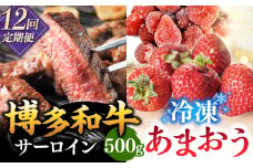 【全12回定期便】【訳あり】博多和牛 サーロインステーキ ＆ あまおう セット1.3kg ▼ 訳あり 訳アリ ワケアリ わけあり 理由あり 大容量 不揃い 規格外 牛肉 肉 にく 返礼品 お肉 家族 口コミ 食材 果物 果実 福岡 あまおう 福岡 博多 いちご イチゴ 苺 高級 定期便 桂川町/株式会社 MEAT PLUS [ADAQ068]
