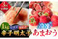 3回定期便 訳あり 辛子明太子 1kg＆ あまおう セット 小分け