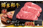 博多和牛 サーロイン ステーキ 200g × 3枚