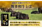 定期便 博多和牛 サーロイン ステーキ A4