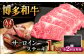 2回定期便 博多和牛 サーロイン ステーキ 200g × 5枚 