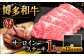 12回定期便 博多和牛 サーロイン ステーキ 200g × 5枚