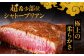 博多和牛 ヒレ シャトーブリアン フィレ ステーキ 希少部位