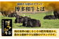 A4ランク以上 博多和牛 上赤身薄切り 500g モモ / 肩