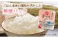 夢つくし パックご飯 計24パック (各200g） 