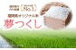 夢つくし パックご飯 計24パック (各200g） 