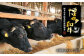 【3回定期便】 博多和牛 ロースステーキ 合計400g 200g×2枚 和牛 牛肉