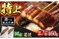 鹿児島産 国産 おすすめ 人気 美味しい うなぎ かばやき 大 蒲焼