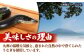 全12回定期便 特大！ 鹿児島産 うなぎ 蒲焼2尾セット