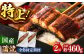 全6回定期便 特大！ 鹿児島産 うなぎ 蒲焼 2尾セット