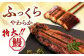 全6回定期便 特大！ 鹿児島産 うなぎ 蒲焼 2尾セット